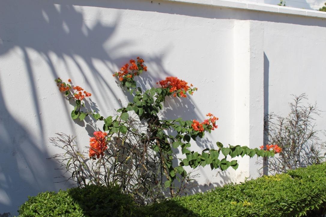 בגמויו Idc Guest House מראה חיצוני תמונה